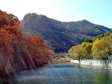 奥门天天开奖免费资料，异能神偷